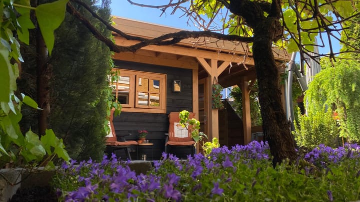 Foto 25 van Wisselwei 11