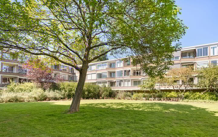 Foto 23 van Meander 921