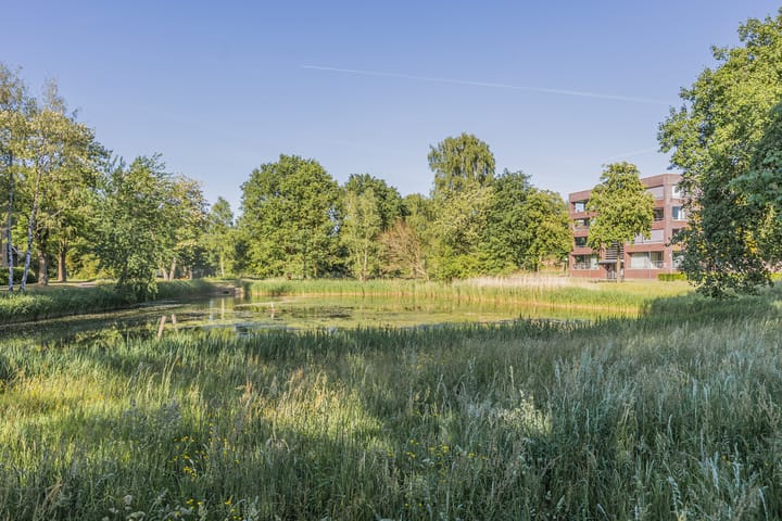 Foto 33 van Wagenaarstraat 59