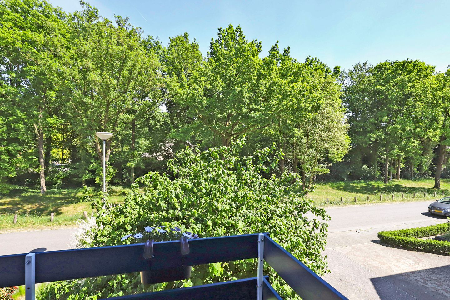 Photo 34 of Paulus Potterstraat 8