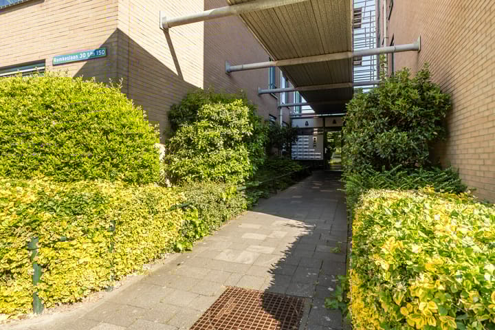 Foto 10 van Romkeslaan 100