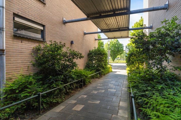 Foto 12 van Romkeslaan 100