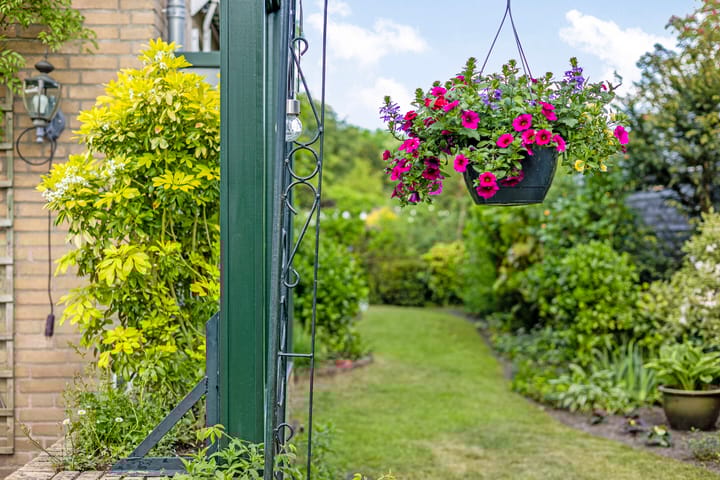 Foto 50 van De Duivenekker 3