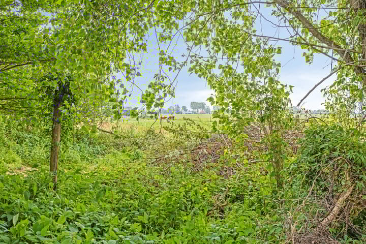 Foto 35 van Middenweg 60