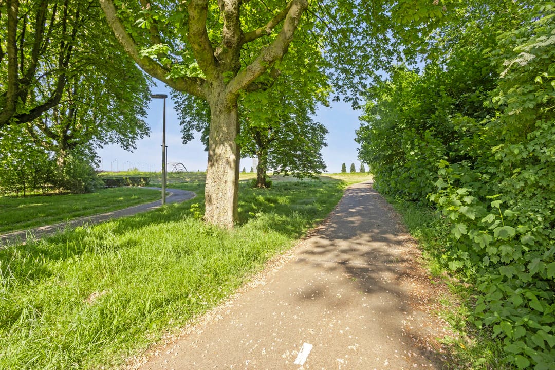 Foto 38 van Ranonkelstraat 15-2