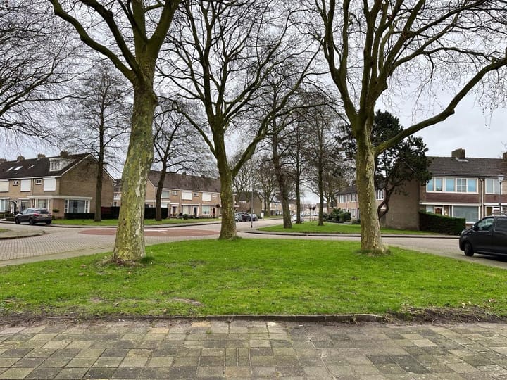 Foto 6 van Icarusplantsoen 23