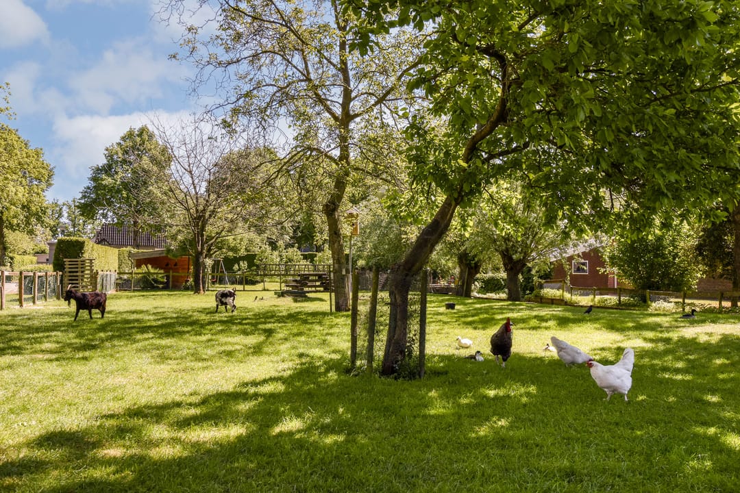 Foto 28 van Weerestein 25