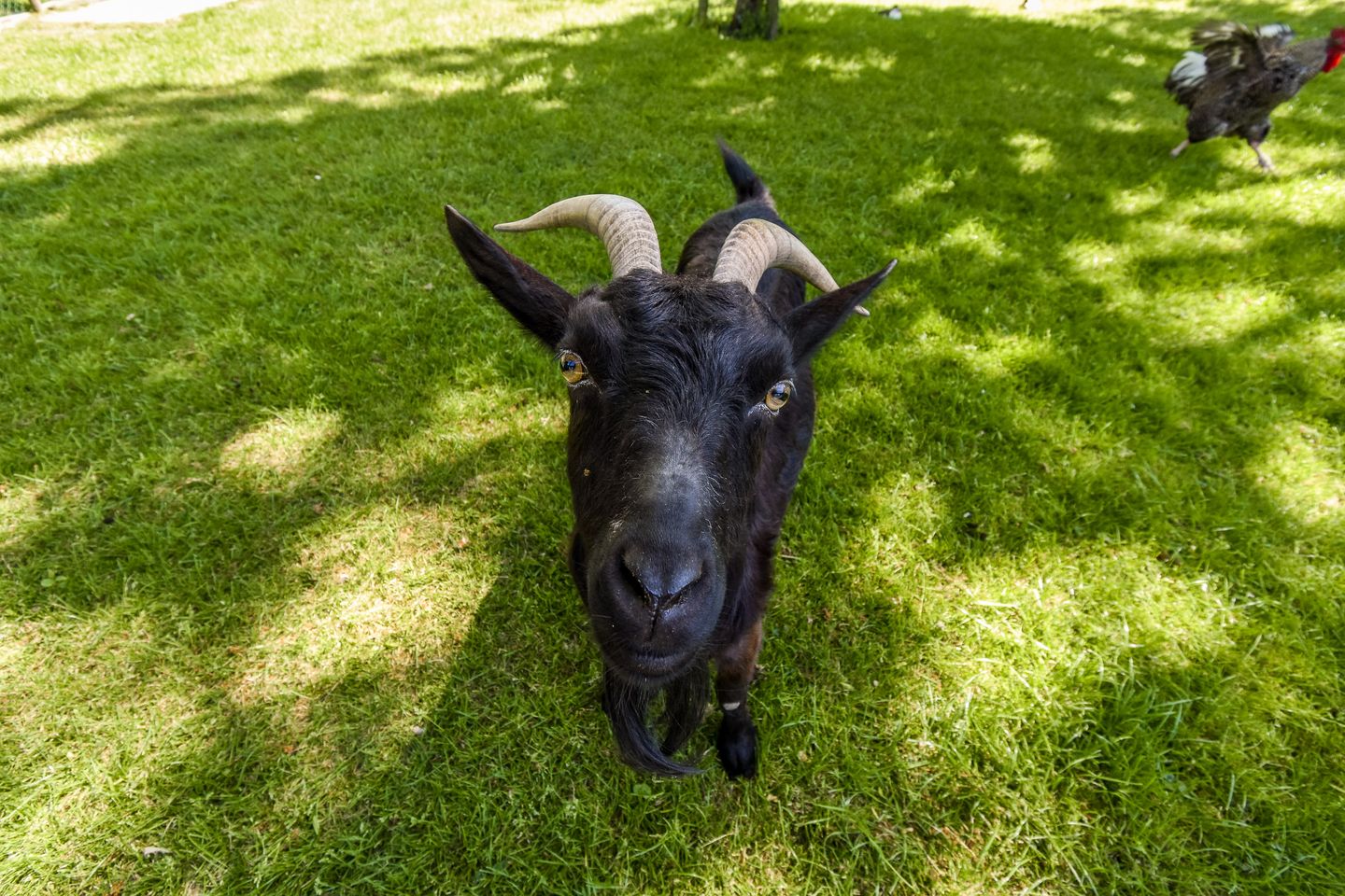 Foto 29 van Weerestein 25