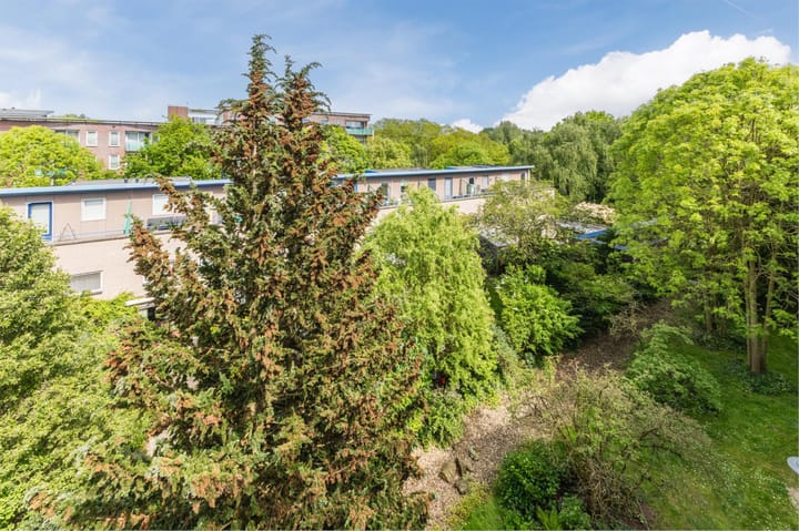 Foto 32 van Praterlaan 60