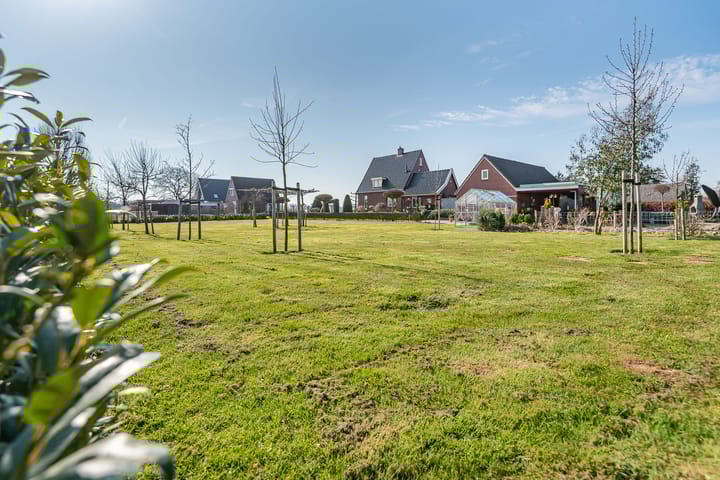 Foto 2 van Julianaboom 17