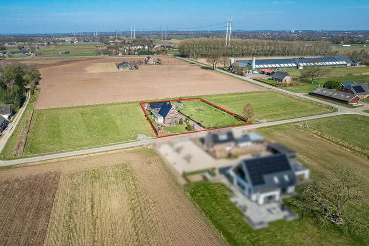 Foto 6 van Julianaboom 17