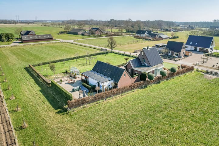 Foto 30 van Julianaboom 17