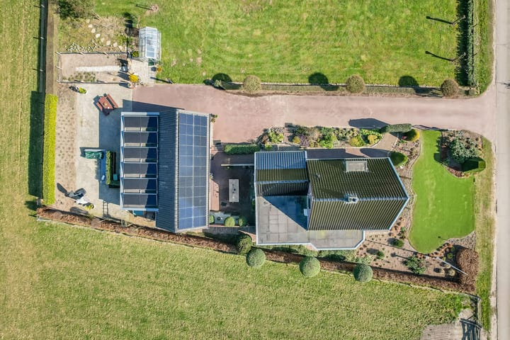 Foto 31 van Julianaboom 17