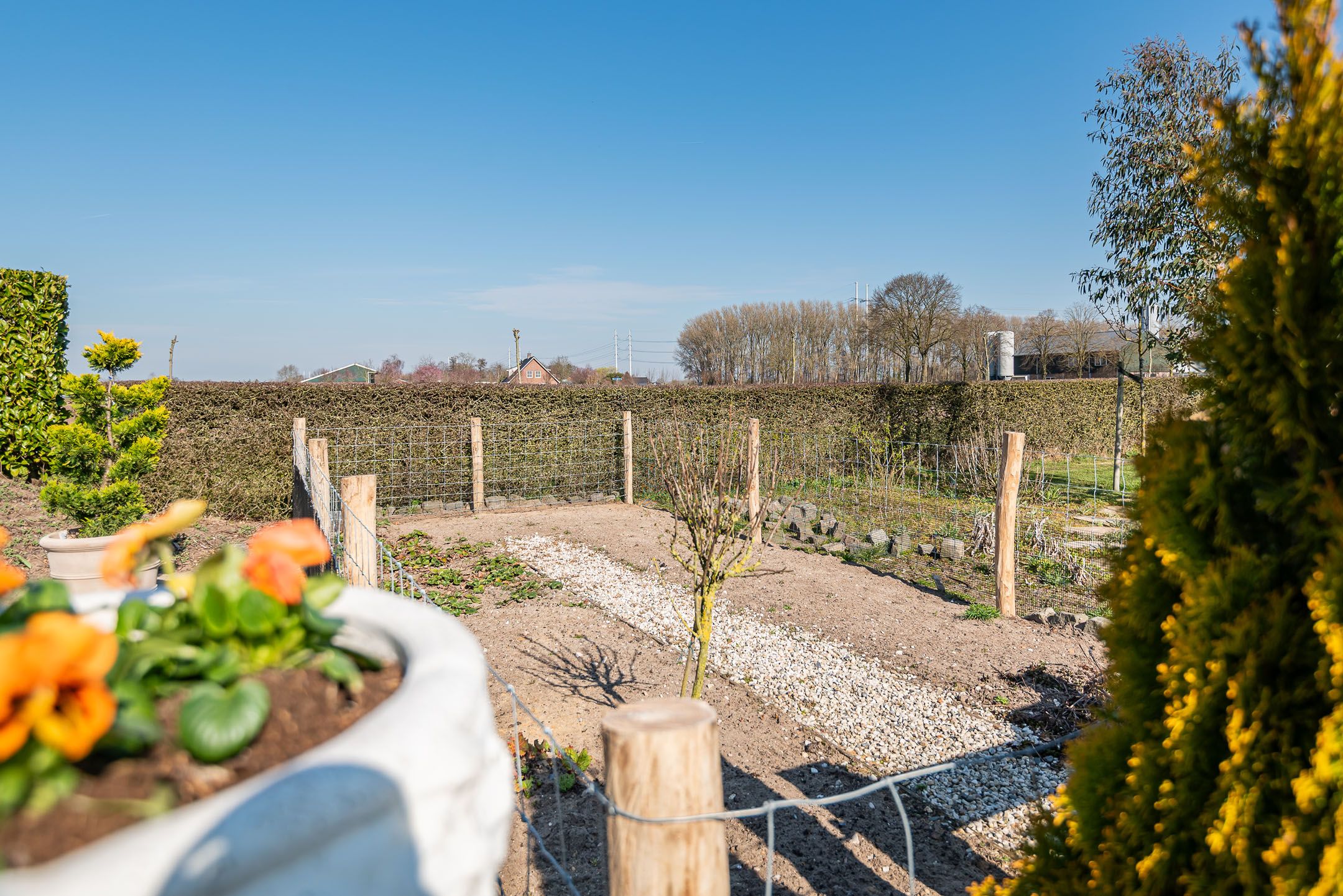 Foto 39 van Julianaboom 17