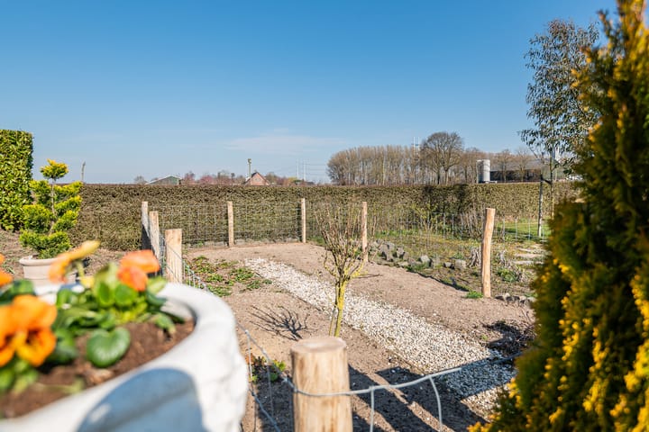 Foto 39 van Julianaboom 17