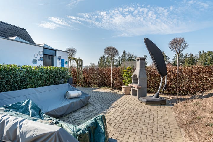 Foto 43 van Julianaboom 17