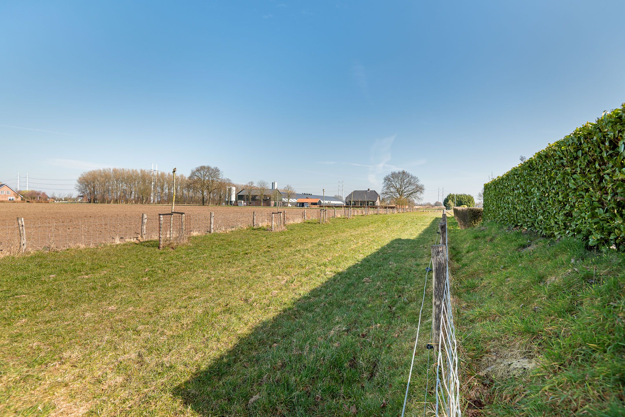 Foto 45 van Julianaboom 17