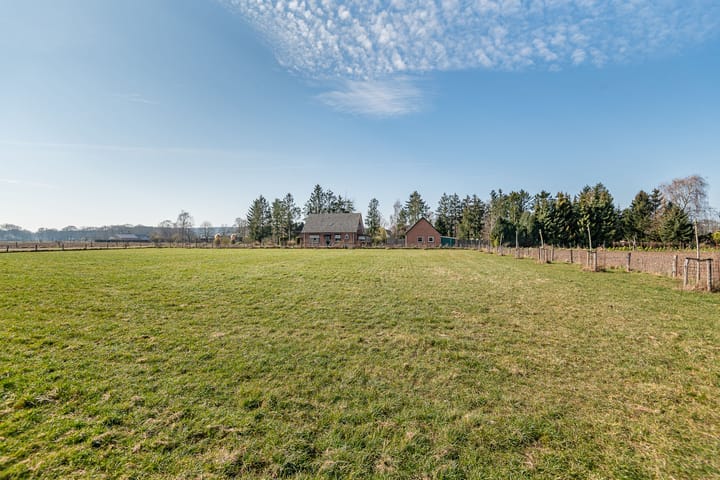 Foto 46 van Julianaboom 17