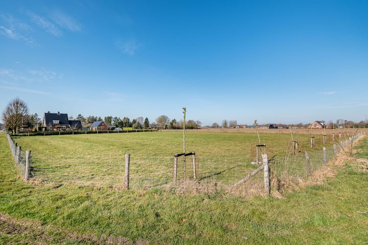 Foto 47 van Julianaboom 17