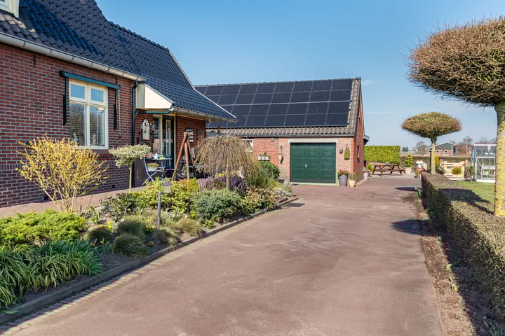 Foto 48 van Julianaboom 17