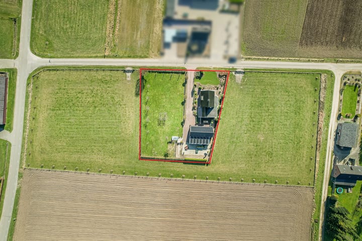 Foto 49 van Julianaboom 17