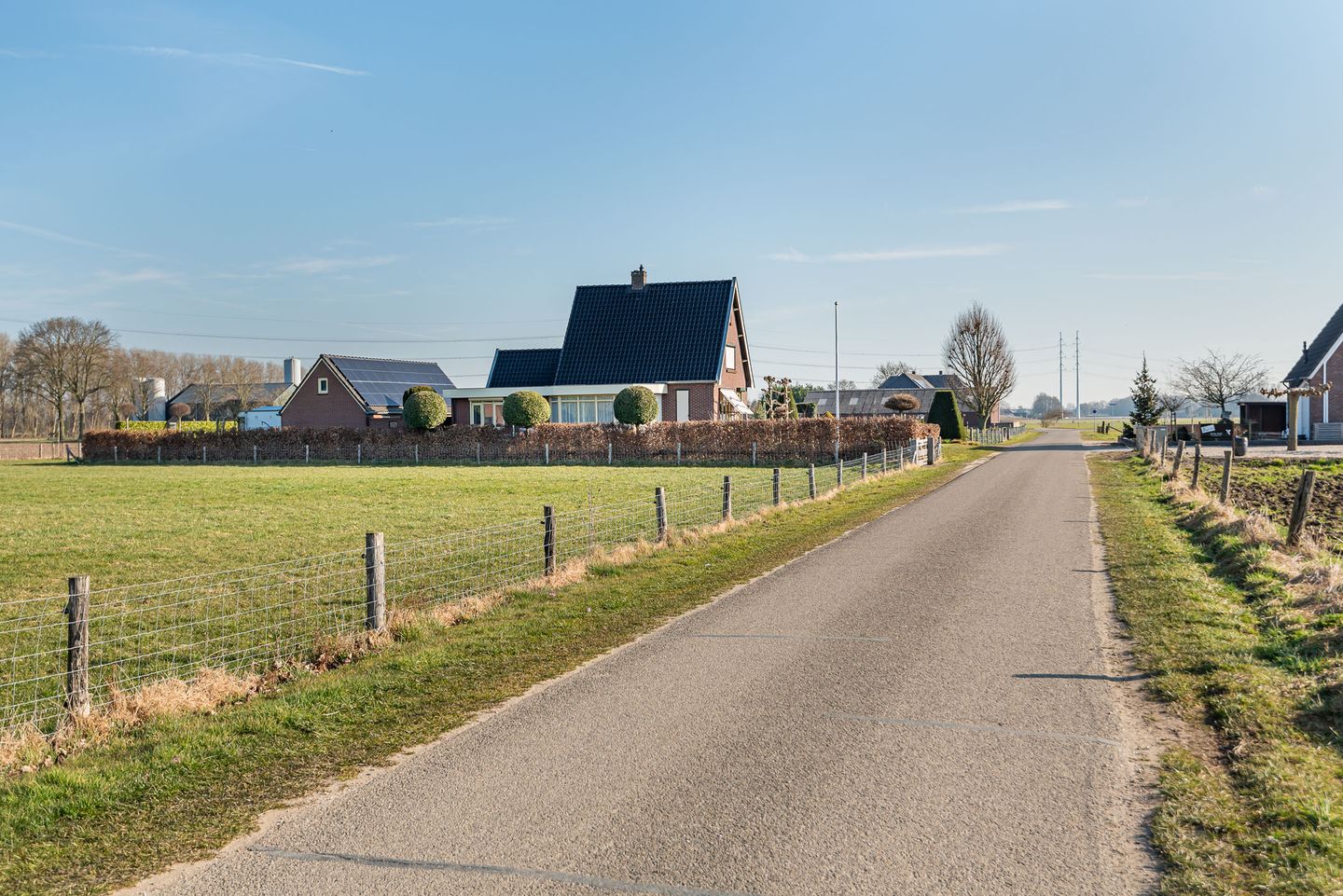 Foto 50 van Julianaboom 17