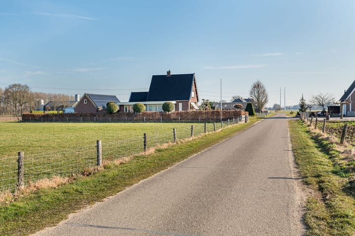 Foto 50 van Julianaboom 17