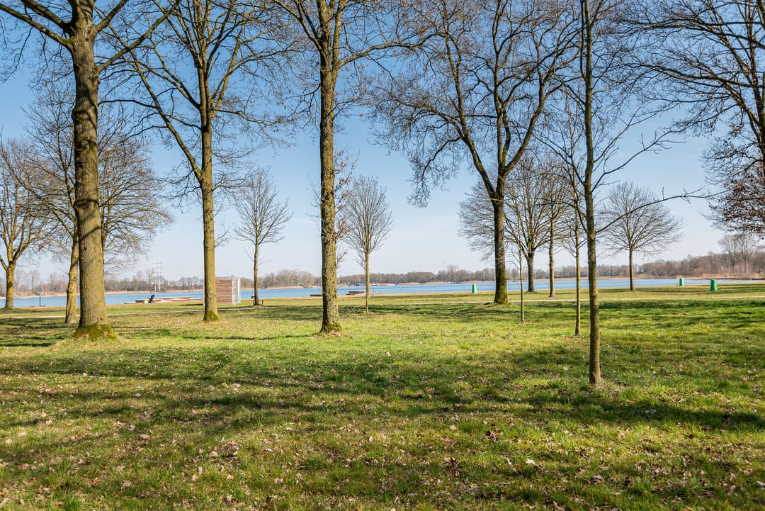 Foto 52 van Julianaboom 17