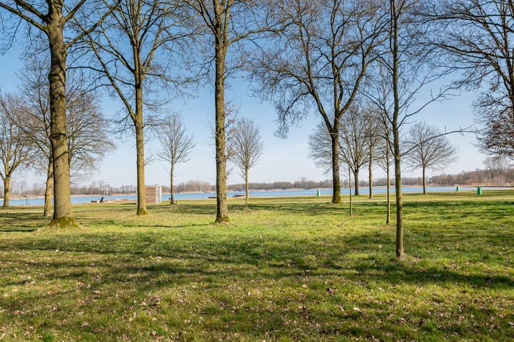 Foto 52 van Julianaboom 17