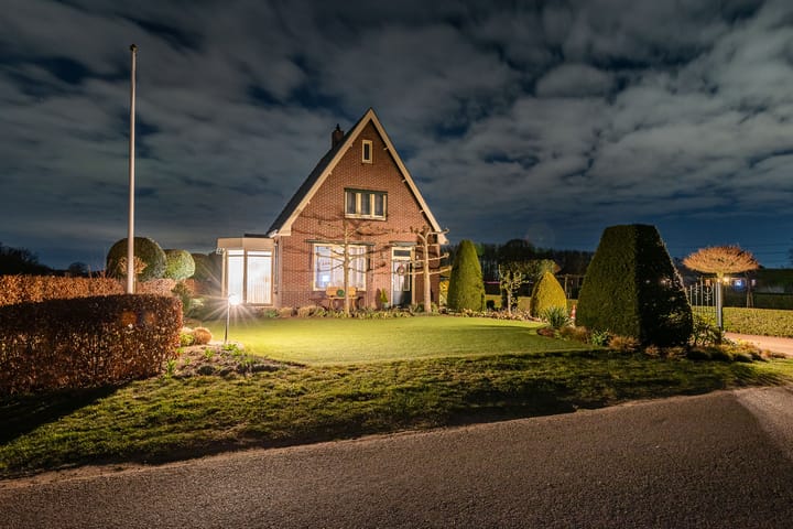 Foto 55 van Julianaboom 17