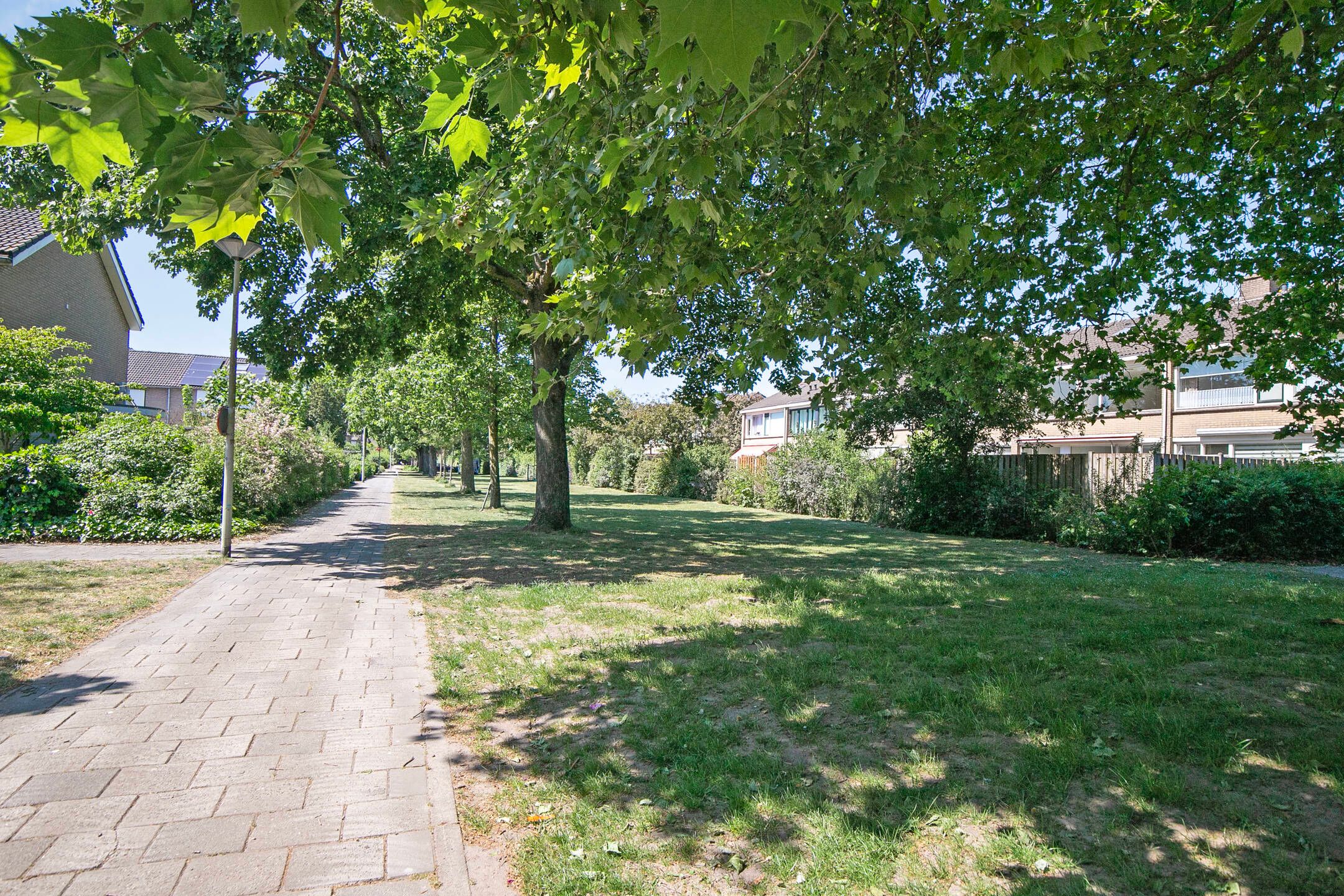 Foto 42 van Susannadonk 162