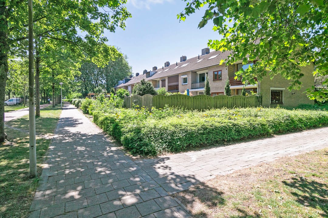 Foto 43 van Susannadonk 162