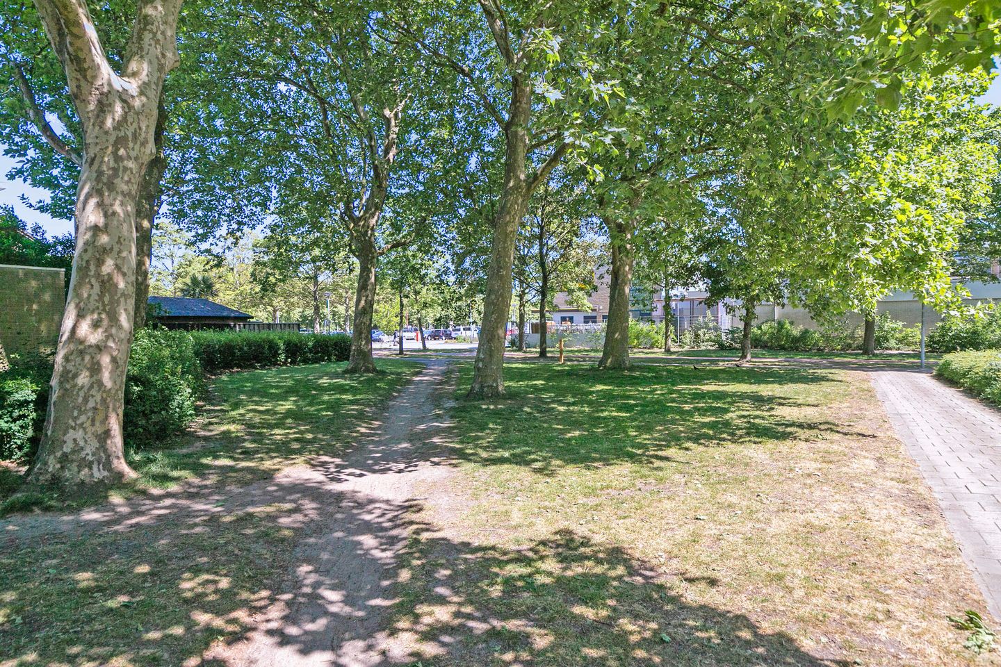 Foto 44 van Susannadonk 162