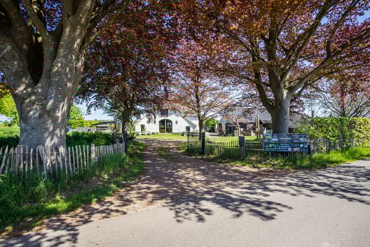 Photo 4 of Schiphorsterstraat 16