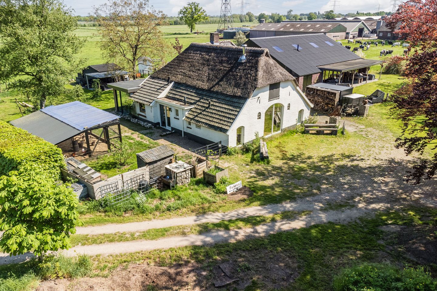 Foto 5 van Schiphorsterstraat 16