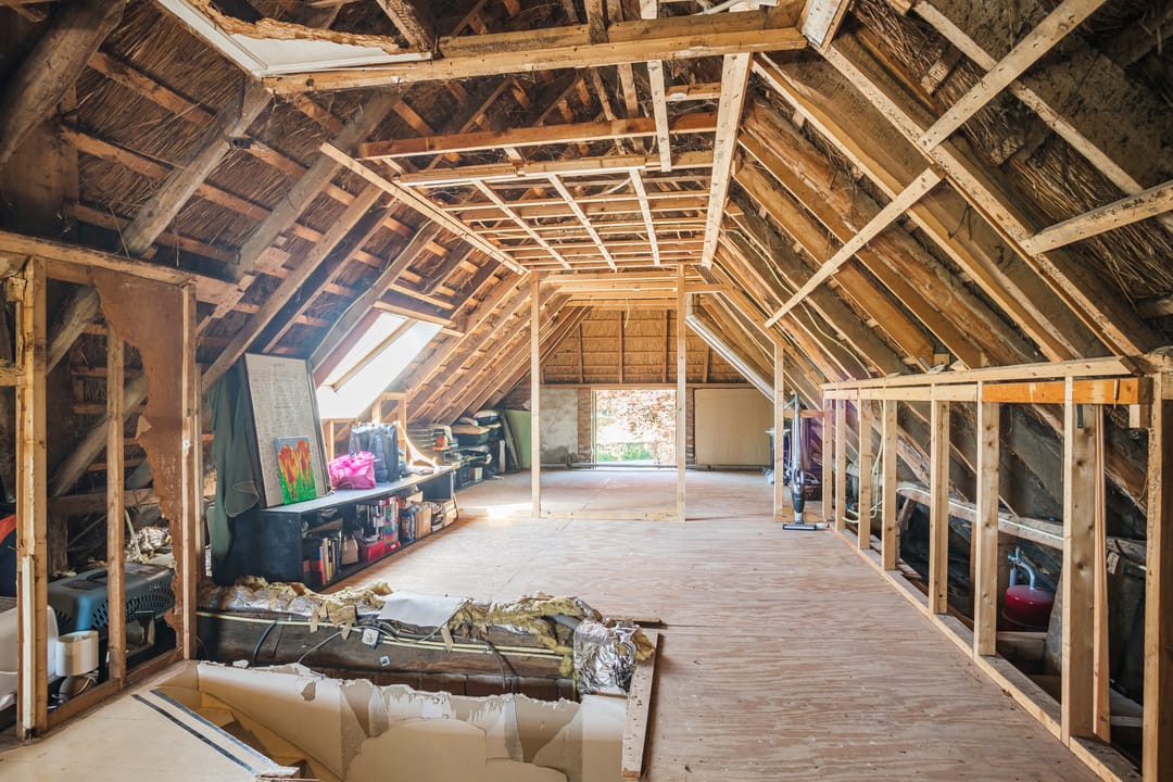 Foto 28 van Schiphorsterstraat 16