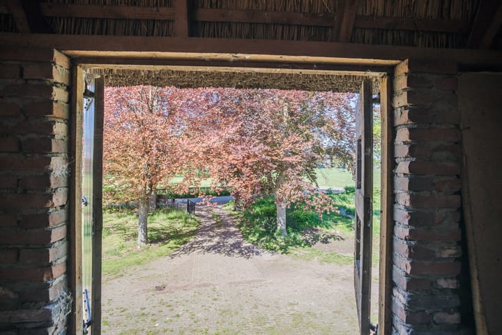 Foto 30 van Schiphorsterstraat 16