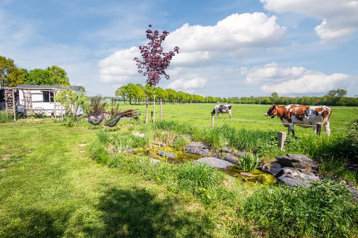 Foto 74 van Schiphorsterstraat 16