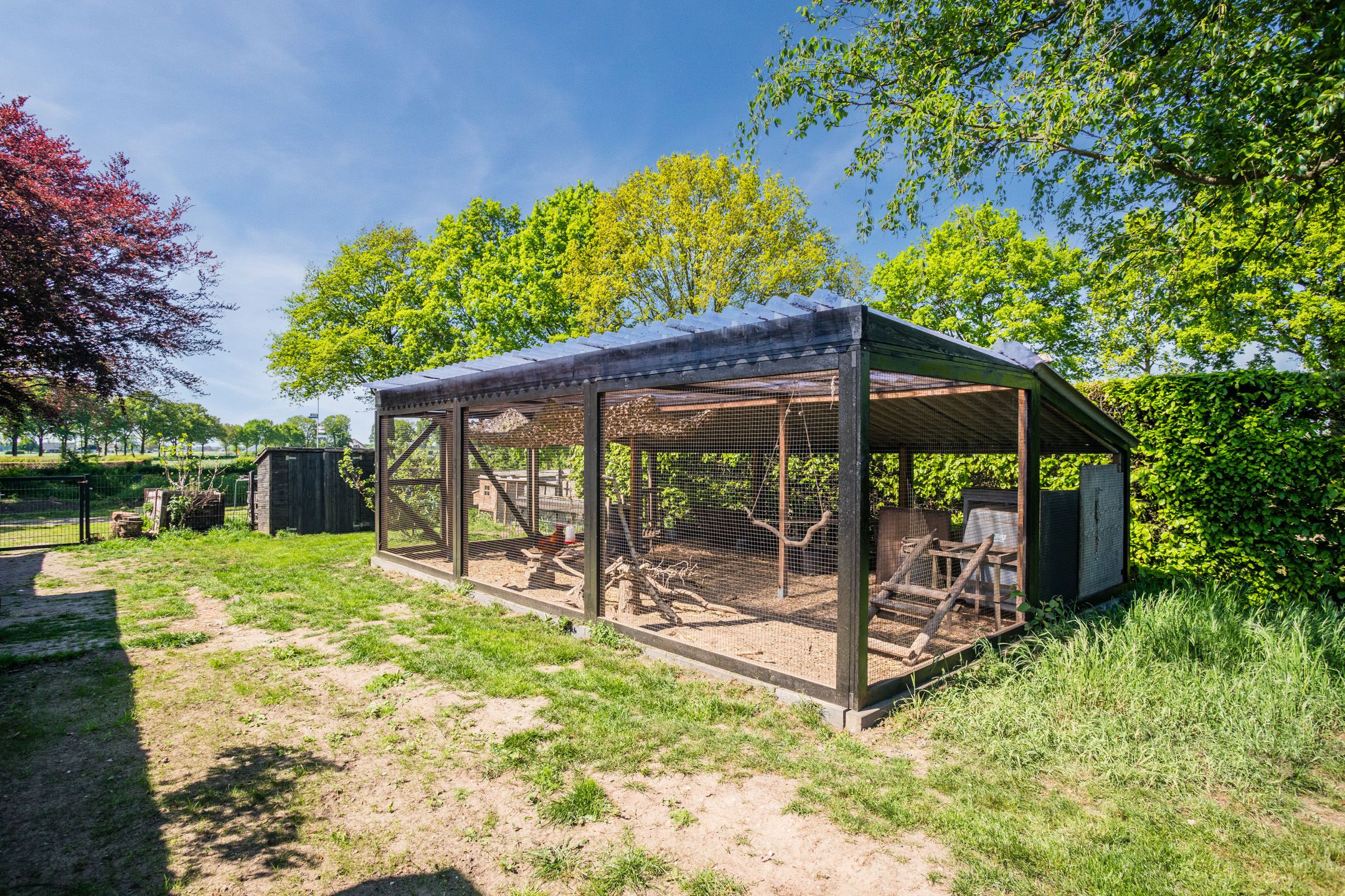 Foto 78 van Schiphorsterstraat 16