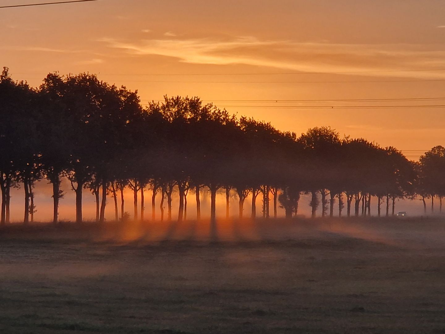 Foto 85 van Schiphorsterstraat 16