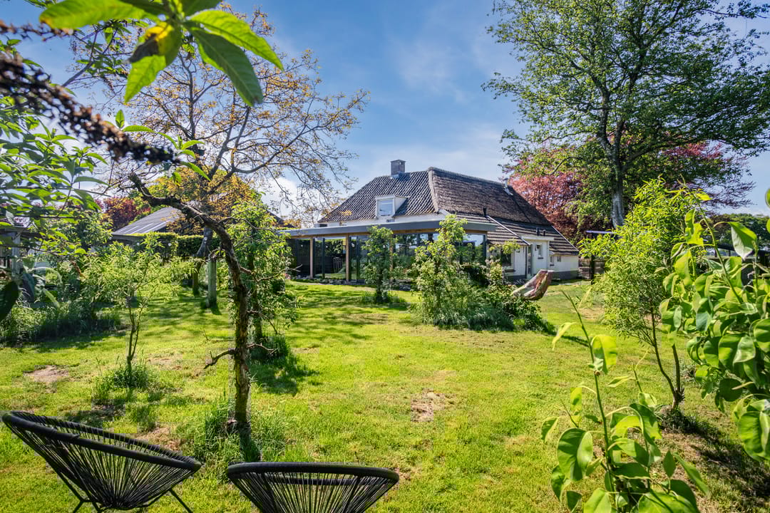 Foto 77 van Schiphorsterstraat 16