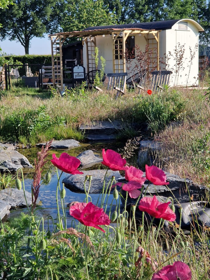 Foto 87 van Schiphorsterstraat 16