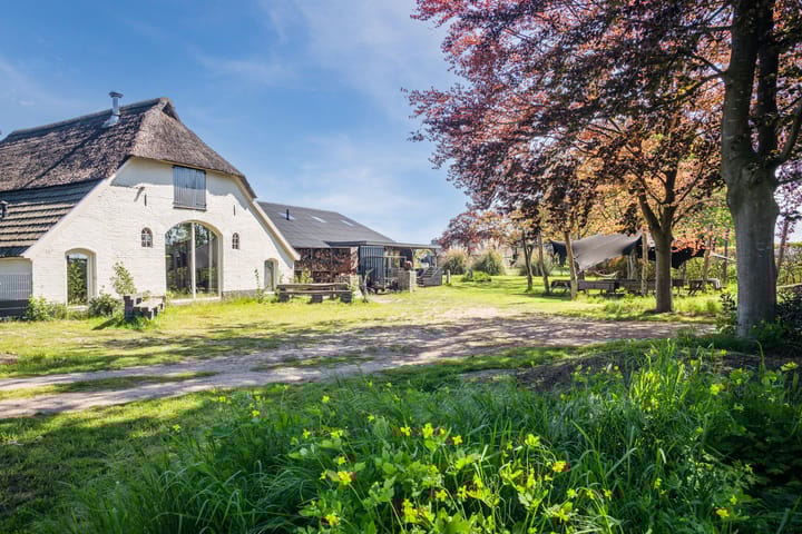 Foto 91 van Schiphorsterstraat 16