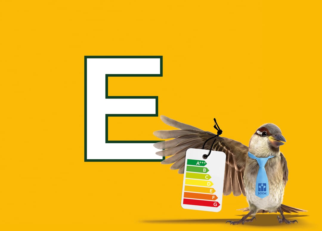 Foto 92 van Schiphorsterstraat 16