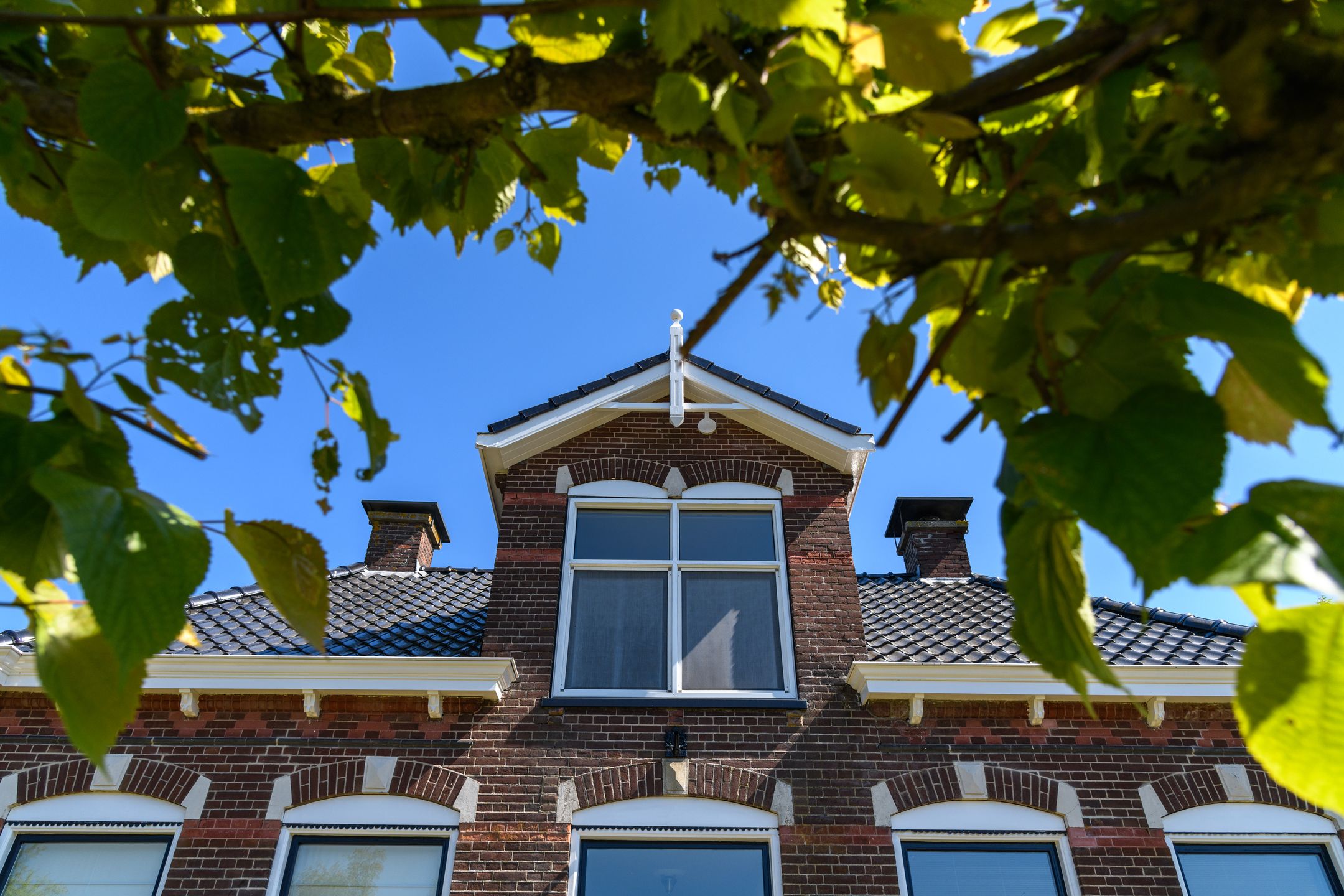 Foto 6 van Merkebuorren 40