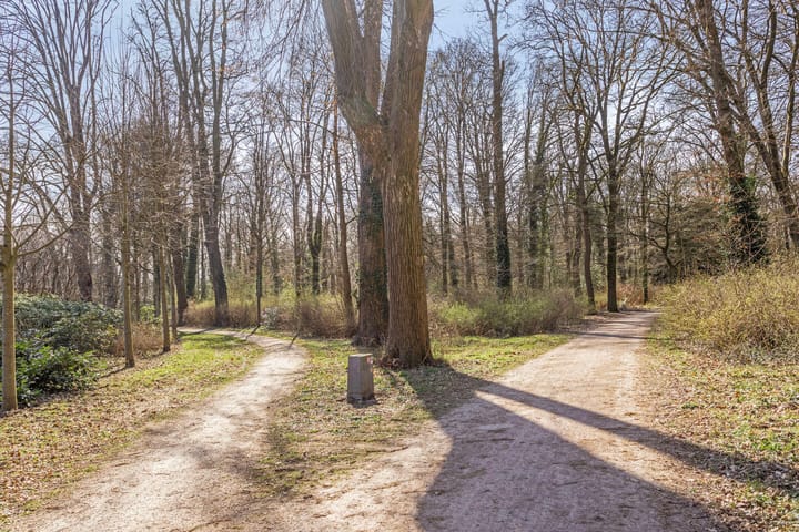 Foto 33 van Het Laar 259