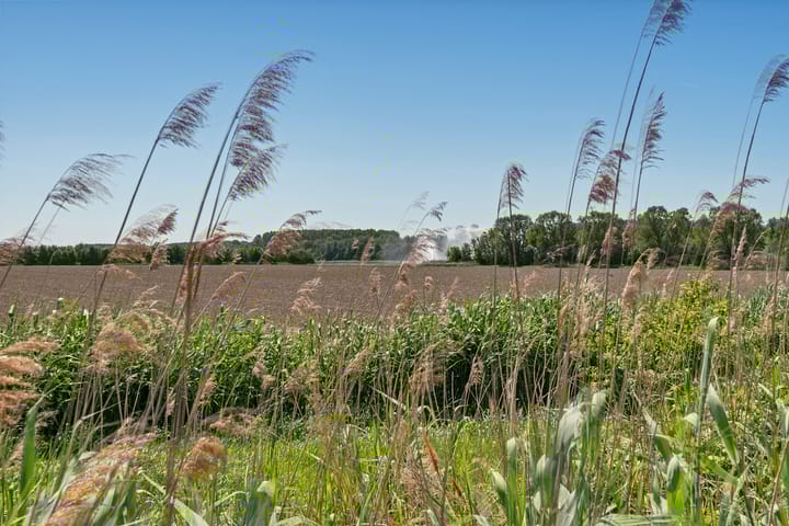 Foto 32 van Waterbies 88