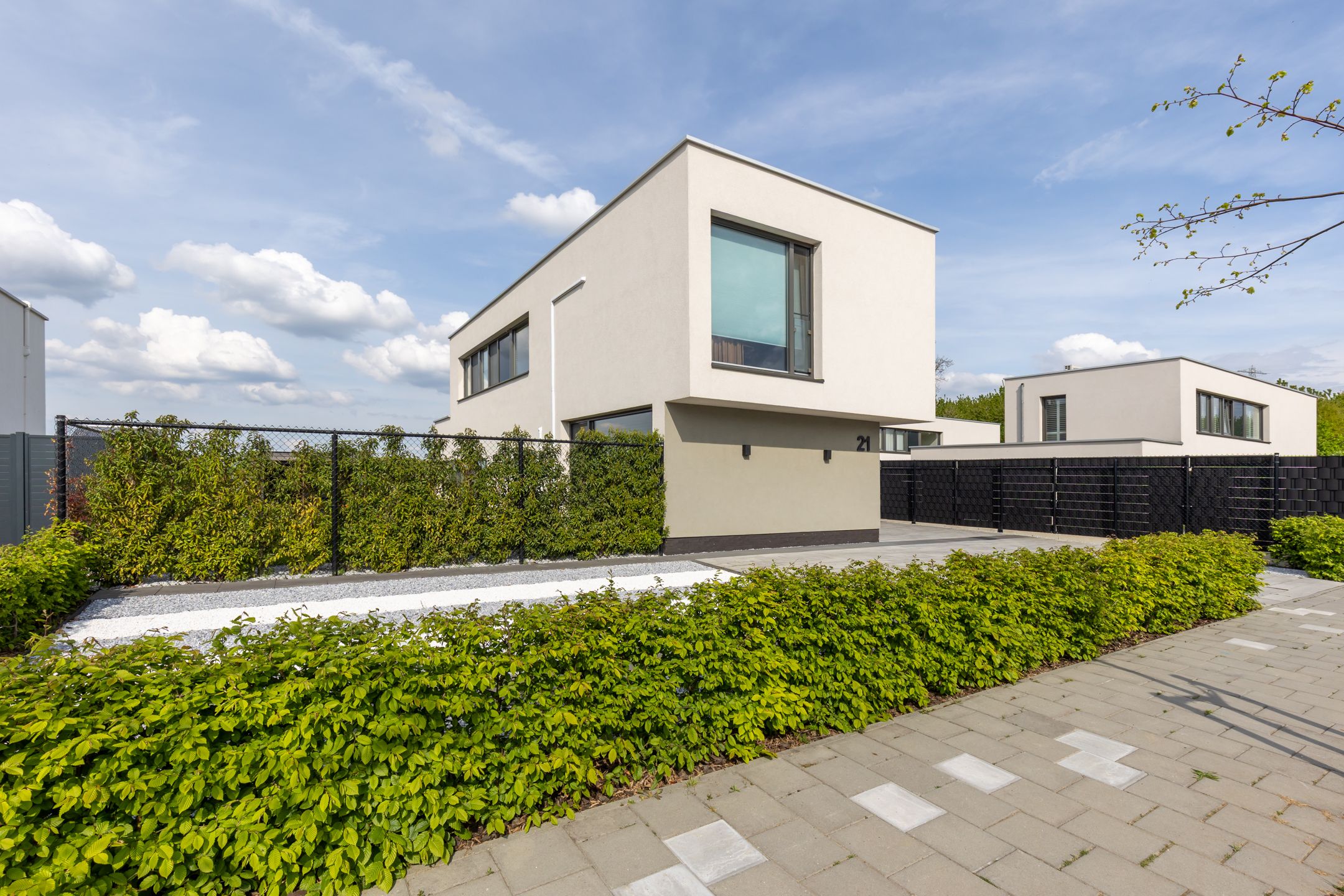 Photo 6 of Gentiaan 21