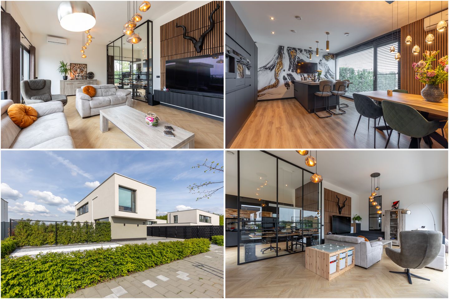 Photo 10 of Gentiaan 21