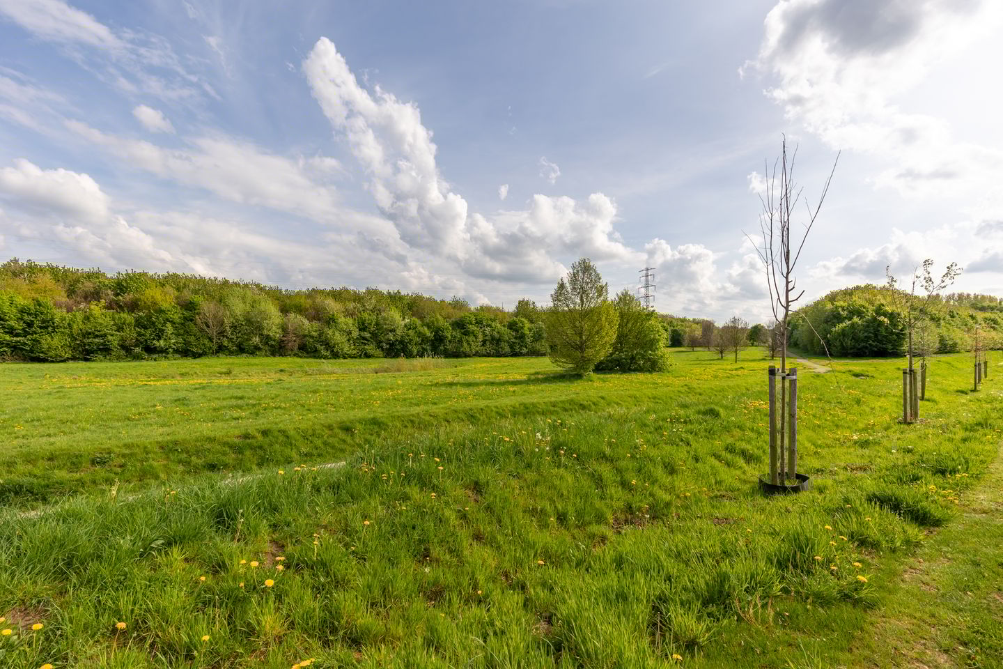 Photo 5 of Gentiaan 21